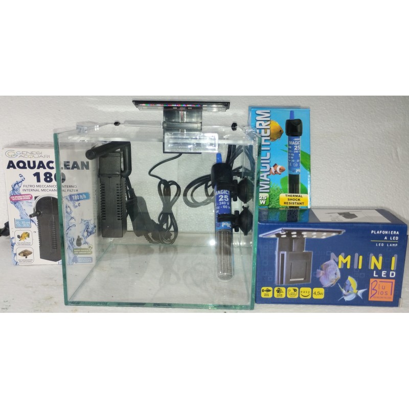 Acquario Betta Box