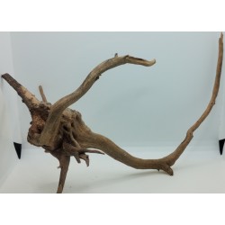 Radice Spider 23cm